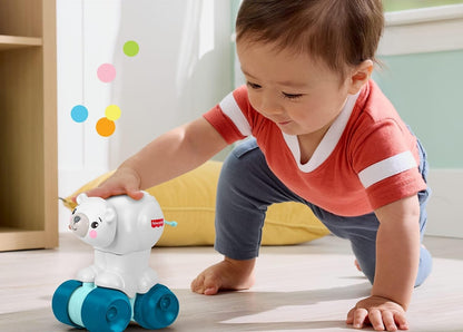 FISHER-PRICE zintuiglijke rijdende ijsbeer om kruipen te leren 9 m+