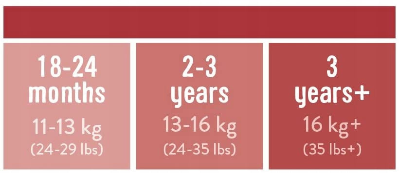 BAMBINO MIO majtki treningowe 2-3 lata, rozmiar 13-16 kg, tabela wiekowa dla dzieci 2-3 lata