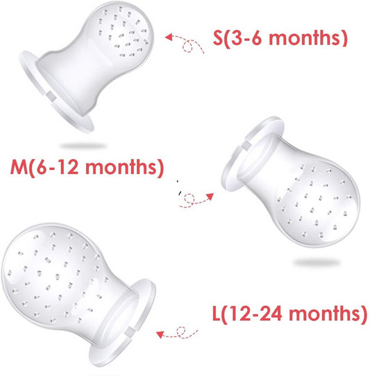 NORDHAIN Ferdi fruit feeder pacifier x2